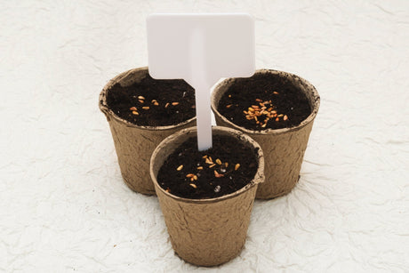 Garden Supplies & Kits - JC Nursery