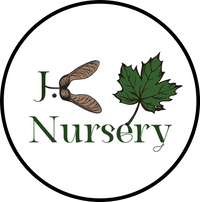JC Nursery