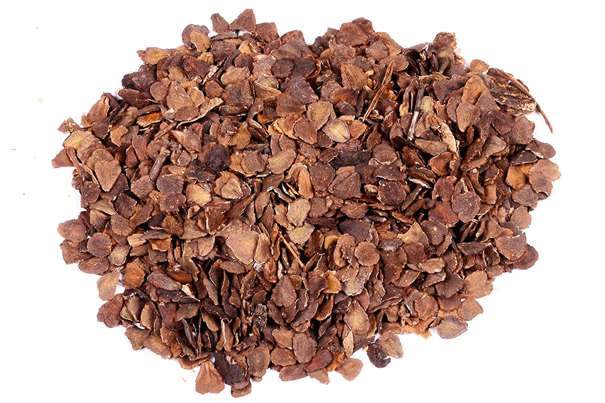 20 Jacaranda (Jacaranda mimosifolia) Tree Seeds - JC Nursery