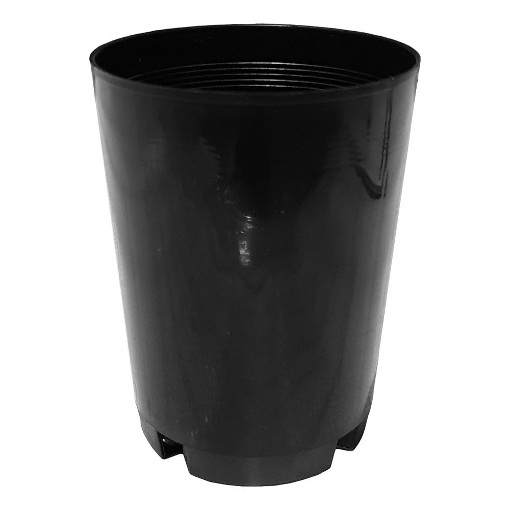75mm Round Plastic Tubestock Pot - JC Nursery